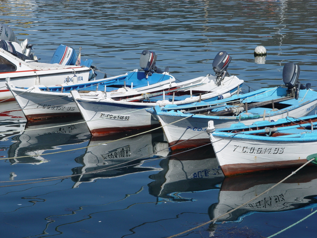 La flota artesanal en contra de la propuesta de Damanaki En portada Industrias Pesqueras