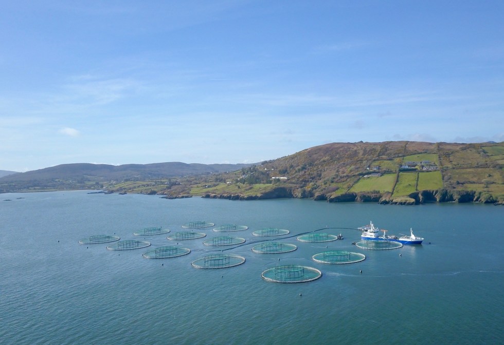 La European Aquaculture Society actualiza la información sobre