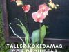 Taller de Kokedamas con orquídeas