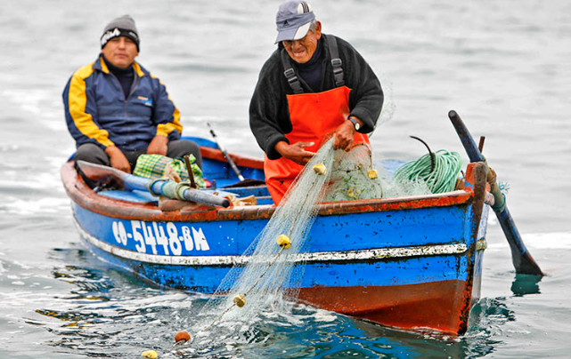 Perú Explica Sus Medidas Para Impulsar La Pesca Artesanal Última Hora Industrias Pesqueras 3342