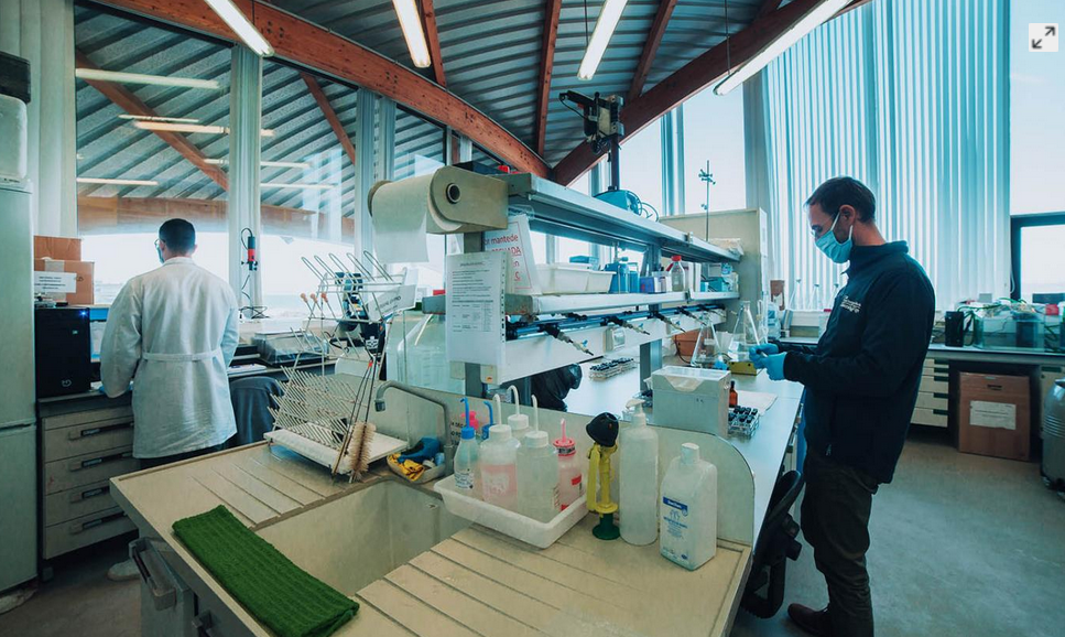 El Centro De Investigación Mariña (CIM) De La Universidad De Vigo ...