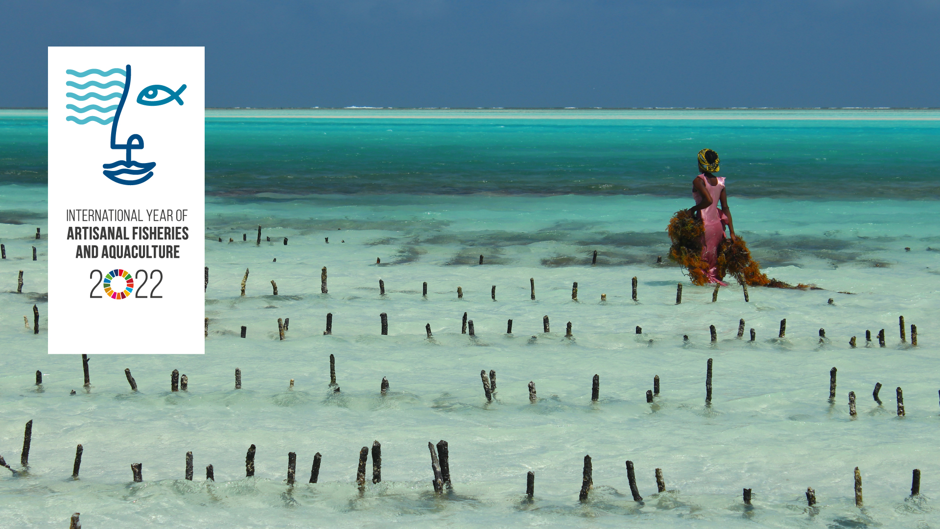 Se Pone En Marcha El A O Internacional De La Pesca Y La Acuicultura