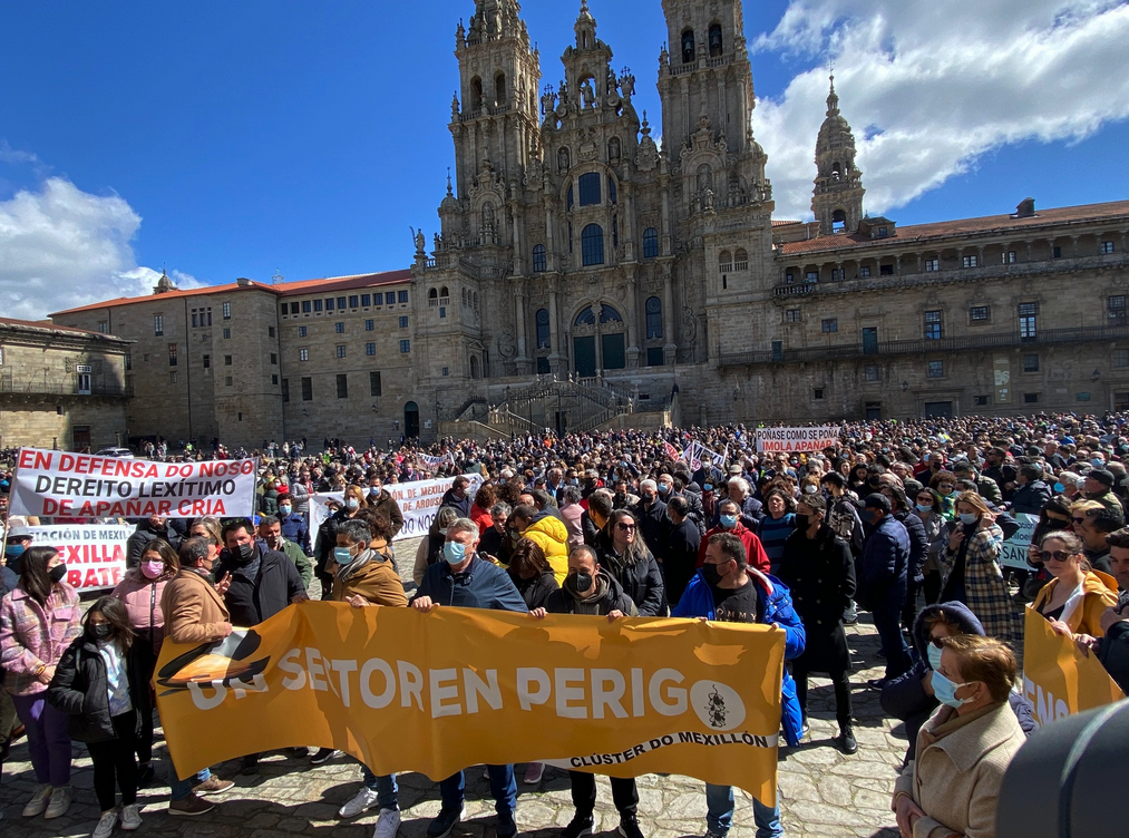 El sector mejillonero se manifiesta en Santiago de Compostela para El sector mejillonero se manifiesta en Santiago de Compostela para
