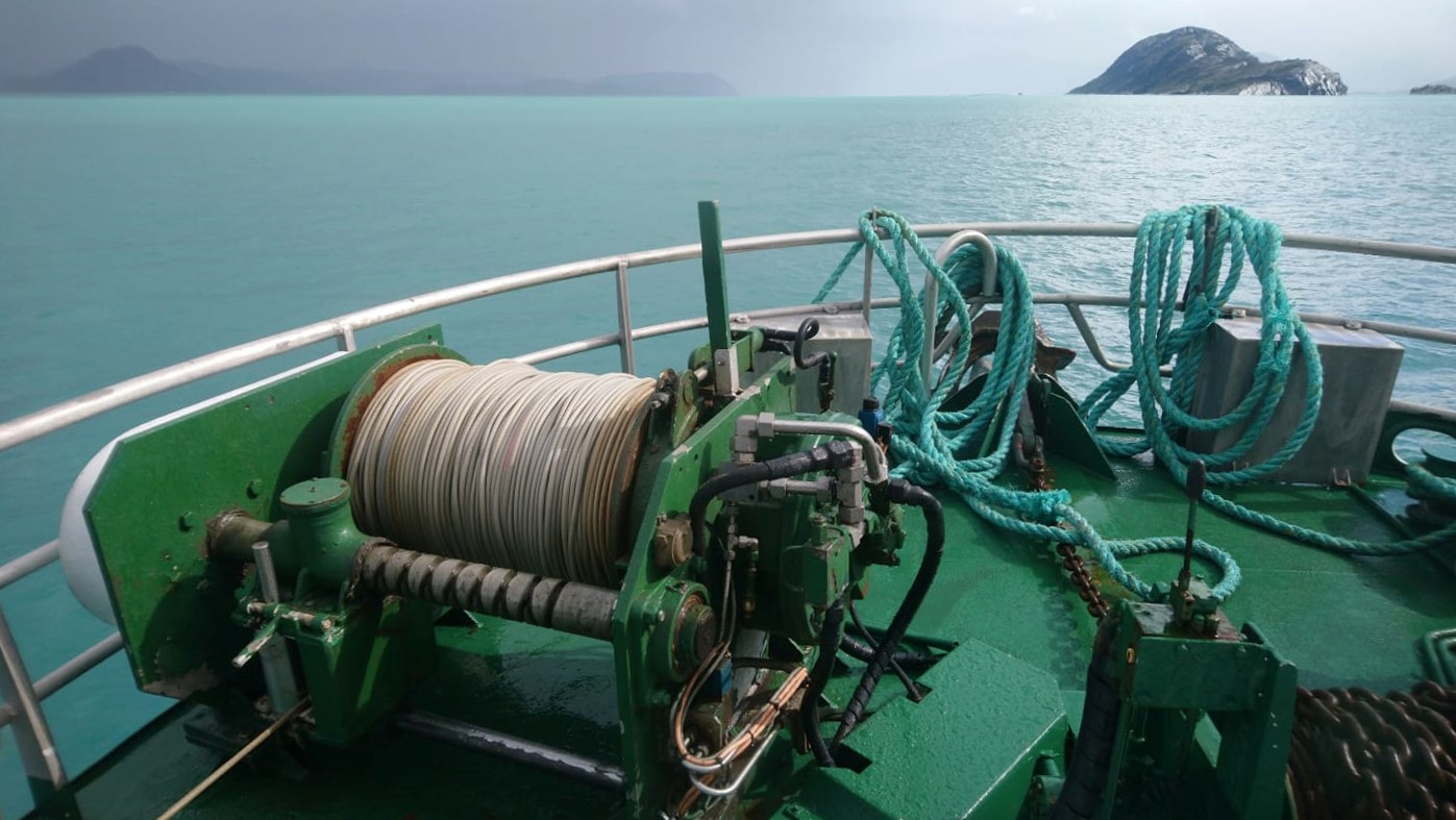 Noruega comienza a remitir el impacto de la floración de algas tóxicas