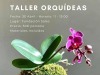 Taller de kokedamas orquídea