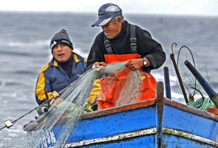 Perú Quiere Poner Orden En La Pesca Artesanal Última Hora Industrias Pesqueras 2677